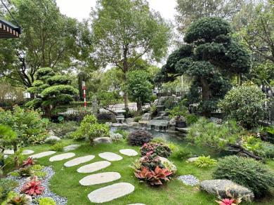 Tiến độ dự án Hado Charm Villas tháng 11/2023